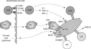 Your recessed lighting problems are no doubt a safety sensor turning off the electric. Inflammatory Myopathies Chapter 22 Disorders Of Voluntary Muscle