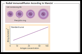 • as the antibody diffuses into the gel it reacts with the antigen and. Immunological Test Methods