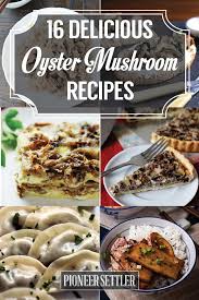 If you are interested in. Mouth Watering Oyster Mushroom Recipes Homesteading Simple Self Sufficient Off The Grid Homesteading Com
