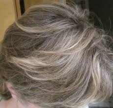 Betsy Hyman Added Highlights And Lowlights Lynn Caulder Hair Short Grey Hair Color Transition To Gray Hair Hair Highlights