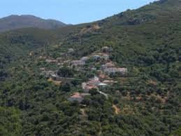 Το μετεωρολογικό και κλιματικό παρατηρητήριο αττικής αποτελεί πιλοτική πρωτοβουλία του εθνικού αστεροσκοπείου αθηνών / meteo.gr με σκοπό την πληρέστερη καταγραφή των μετεωρολογικών και υδρολογικών συνθηκών της αττικής. Sphlaio Kastanias Ena E3aireto Mnhmeio Ths Lakwnikhs Fyshs Eidhseis Nea To Bhma Online