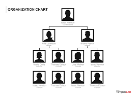 26 rational organizational structure chart template word