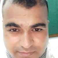 10 "Lemon Sr" profiles