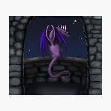 Succulents love light and need about six hours of sun per day, depending on the type of. Dragon In The Night Gifts Merchandise Redbubble