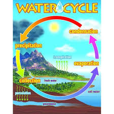 chart the water cycle water cycle water cycle chart