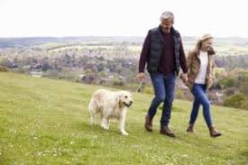 Just as the drug can kill parasites in small doses, it can poison dogs, causing a number of neurological symptoms. What To Expect If Your Pet Needs Chemotherapy Aves