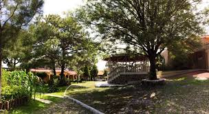 All things to do in guadalajara. Rancho A 10 Minutos De Guadalajara Dentro Del Bosque De La Primavera Easybroker