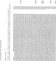 Teilen sie dann das arbeitsblatt aus: De69922978t2 Transformation System In Filamentous Fungicides Chrysosporium Host Cells Google Patents