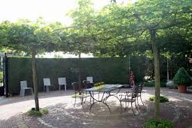 Sitzplatz Spalierbaume Gartenreise Holland Garten Garten Ideen Gartengestaltung