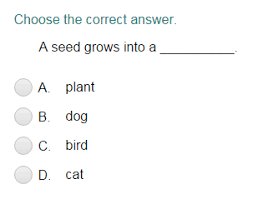 Besides, kids trivia is an excellent way to test their awareness and. Plant Life Cycle Quiz Turtle Diary