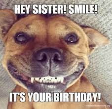 Happy Birthday Sister Dog Memes Happy Birthday Sister Quotes Happy Birthday Sister Funny Sister Birthday Quotes