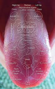 Find Out What Your Tongue Is Telling You The Whoot