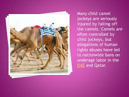The site, dubbed the 'camel site', was explored by french and. Camel Racing Is A Popular Sport In Pakistan Saudi Arabia Egypt Bahrain Jordan Qatar United Arab Emirates Oman Australia And Mongolia Professional Ppt Download