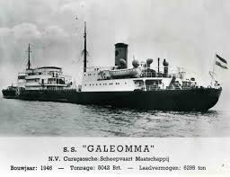 Image result for Galeomma