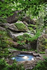 Pin By Ingolffee On Pool Garden Natural Pool Garden Landscaping