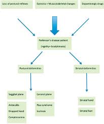 Postural Striatal Deformities In Parkinson S Disease Are These Rare Abstract Europe Pmc