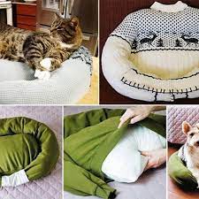 The bed is high enough to make it easy for most folks to get in and out of without raising it enough to interfere with lower ceiling profiles. Pin On Cuteness Overload