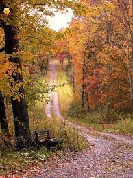 Along Cruikshank Road In Sarver Photo By Joanne Harrity Autumn Scenery Landscape Beautiful Nature