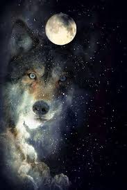 Check out this fantastic collection of wolf moon wallpapers, with 38 wolf moon background images for your desktop, phone or tablet. Wolf Moon Beautiful Wolf Spirit Wolf Artwork Fantasy Wolf