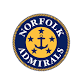 Cincinnati Cyclones at Norfolk Admirals