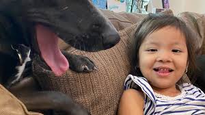 Fundraiser for Adalith Pelcastre by Becky Wagner : Funeral expenses of  little Monica Beltran