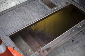 Bilco classic series 55 in. Is It Safe To Walk Over New York S Sidewalk Cellar Doors Curbed Ny
