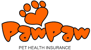4paws offer pet insurance for dogs, cats and rabbits and provide a range of levels of cover so you can choose the insurance that's right for you and your pet. Pet Health Insurance Like Medical Aid For Your Cats And Dogs