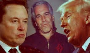 Soaps.com's Primetime Dish