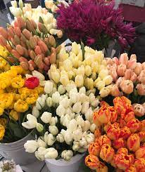 Compare flowers wholesale offers and make the biggest savings this year. Flowers And Plants For The Home A Stylist S Guide To Seattle Flower Markets A Layered Life