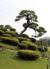 Le Blog De Niwaki Et Niwashi Com Portland Japanese Garden Japanese Garden Japan Garden