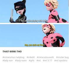 Pin By Aislinn On Miraculous Ladybug Tales Of Ladybug And Cat Noir Miraculous Ladybug Comic Miraculous Ladybug Funny Miraculous Ladybug Memes