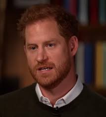 15 diferenças entre os casais Kate Middleton e William e Meghan Markle e  Harry!