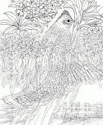 There are tons of great resources for free printable color pages online. Pin On Coloring