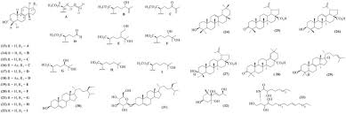 Image result for Ozoroa homblei