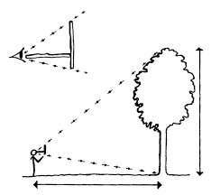 Onf Calculer La Hauteur D Un Arbre Animation