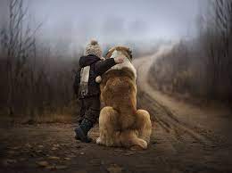 Animal Children Photography Elena Shumilova 2 Animals For Kids Magical Pictures Animals Friends