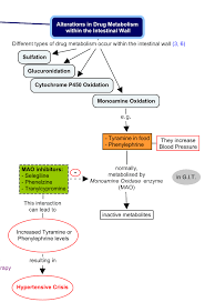 Pin On Medical Study