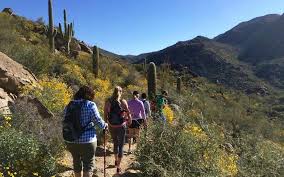 Wildlife and sonoran desert vegetation abound in the tortolita mountains, a hiker's paradise, with. Marana Tourism 2021 Best Of Marana Az Tripadvisor