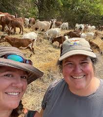 Rudy Kellner's Instagram, Twitter & Facebook