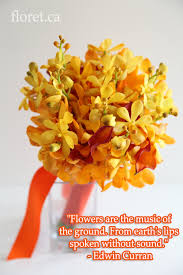 Weddings Flowers Quotes Flower Quotes Floral Quotes Flower Quotes Inspirational