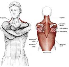 How To Release Any Tension In Your Neck Shoulders Shoulder Stretching Exercises Shoulder Stretches Neck Exercises