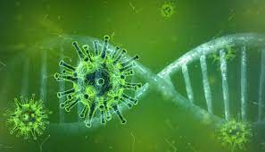 Lots of adults moved back in with their parents during the pandemic. Information On Coronavirus Sars Cov 2 German Sport University Cologne