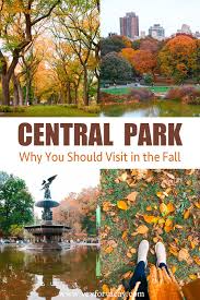 Central Park Explore The Fall Magic Yay For Vacay In 2020 Central Park Nyc Landmarks New York Travel
