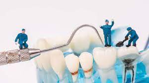 Dentista o odontoiatra sono termini che si riferiscono alla stessa figura professionale. L Odontoiatra E Il Dentista Sono La Stessa Persona Clinica Dentistica Di Como