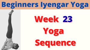 The style often makes use of props, such as belts, blocks, and blankets, as aids in performing the asanas. Learn Yoga Asanas By Iyengar Method Back Bend Yoga
