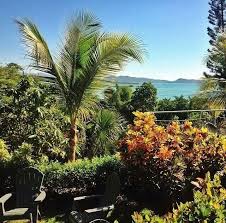 Les Zanglais Aquin Jardin Sur Mer Haiti Haiti Hope For Haiti Dream Destinations