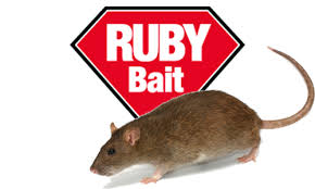 Given below are reviews and buying guide of top 10 rat poisons curated with the help of pest control professionals and expert opinions that could effectively solve your rodent problems. Rat Poison Mouse Poison 20kg Sack Vermin Control Raco