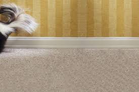 How to get the smell of pet urine out of carpet. Get Rid Of Bad Smells The Safe Way This Old House