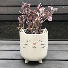 Buy cat planter and get the best deals at the lowest prices on ebay! Cat Planter Succulent Plant Large Pot Indoor Outdoor White Ceramic