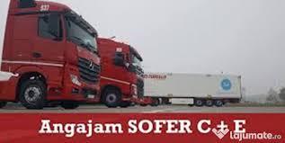 Locuri de munca la stat. Angajez Sofer Profesionist Categoria C E Transport Intern Lajumate Ro